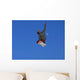 Snowboard Wall Mural