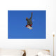 Snowboard Wall Mural