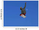 Snowboard Wall Mural