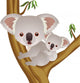 Koala Wall Decal