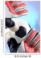 soccer - football goal keeper stretching for ball Wall Mural