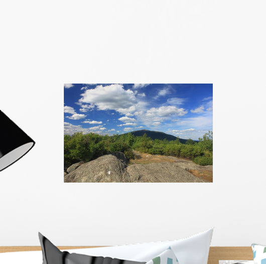 Mount Monadnock from Gap
