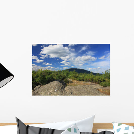 Mount Monadnock from Gap