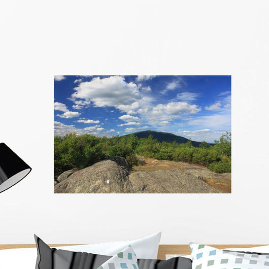 Mount Monadnock from Gap
