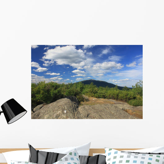 Mount Monadnock from Gap
