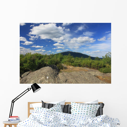 Mount Monadnock from Gap