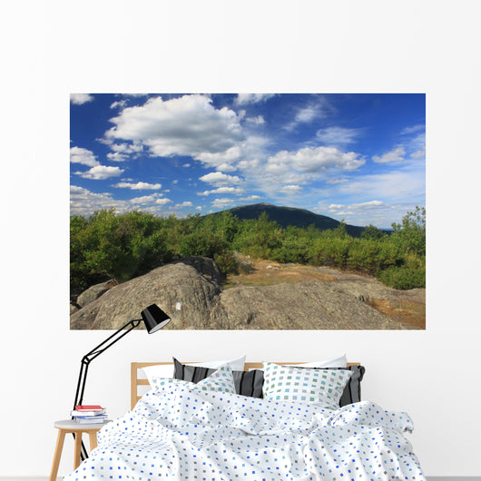 Mount Monadnock from Gap