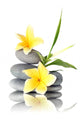 Yellow flowers on stacked stones Wall Decal