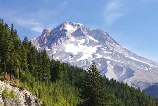 Mt Hood and Evergreens Wall Decal