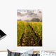 Row Vineyard Fall Wall Decal