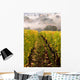 Row Vineyard Fall Wall Decal