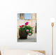 Geraniums