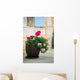 Geraniums