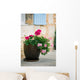 Geraniums