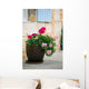 Geraniums