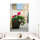 Geraniums
