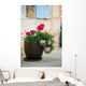 Geraniums