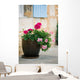 Geraniums