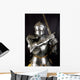 Armour of the Medieval Knight Wall Mural