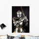 Armour of the Medieval Knight Wall Mural
