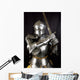 Armour of the Medieval Knight Wall Mural