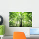 Green Leaves