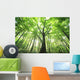 Green Leaves