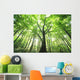 Green Leaves