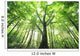 Green Leaves
