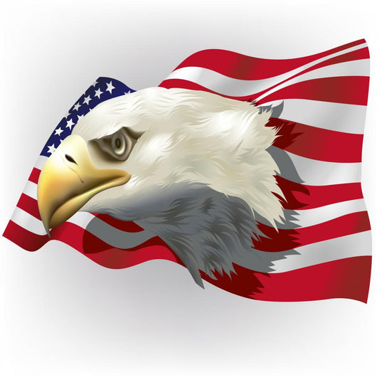 Us Patriotic Theme Wall Decal