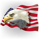 Us Patriotic Theme Wall Decal