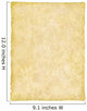 Vellum Papyrus Parchment