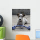 Chien