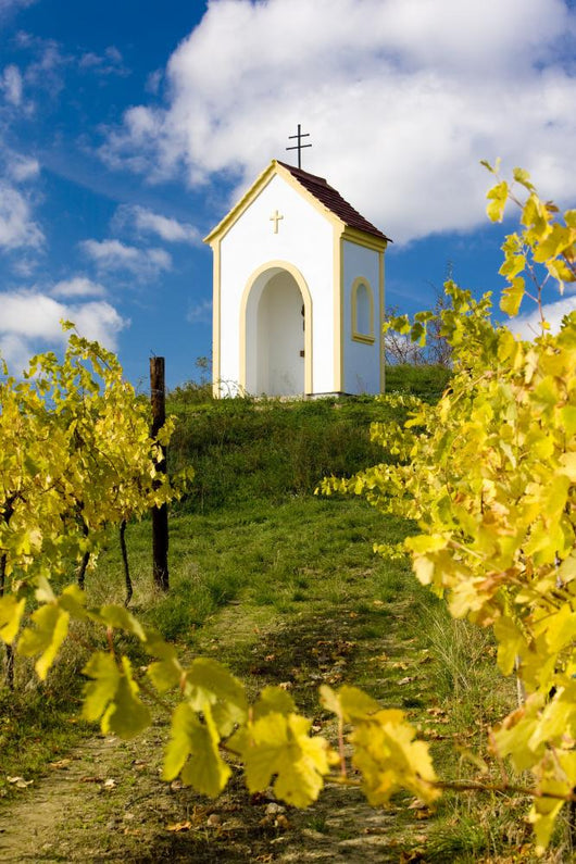 chapel near Hnanice, Znojmo Region, Czech Republic Wall Mural