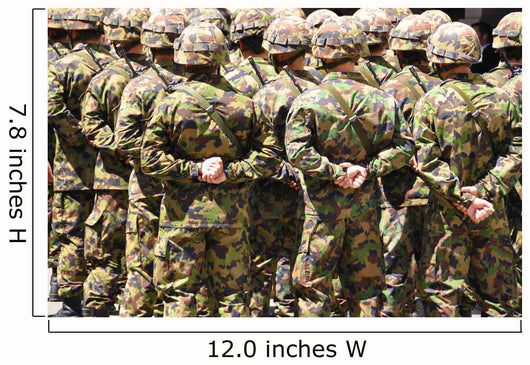 Swiss solders in camouflage Wall Mural