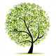 Art Tree Beautiful for Your Design Wall Decal