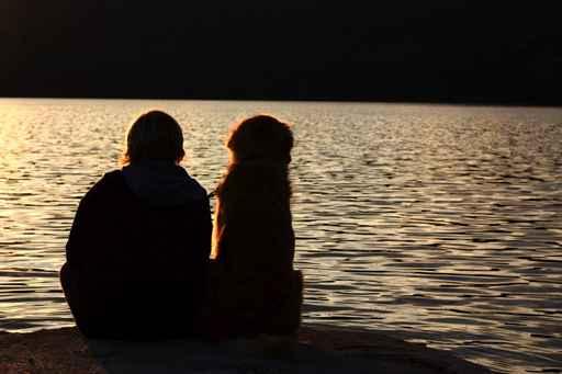 Staring into Sun Wall Decal