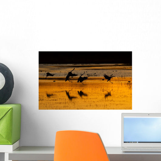 sandhill cranes at sunset Wall Mural