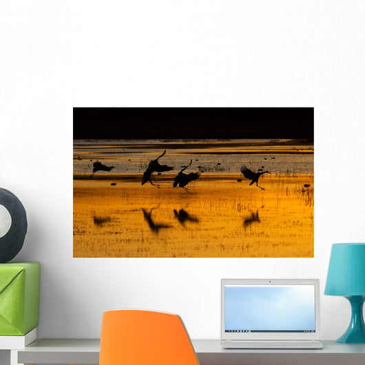 sandhill cranes at sunset Wall Mural