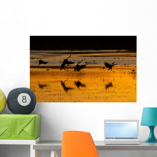 sandhill cranes at sunset Wall Mural
