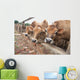 Three Jersey Cows