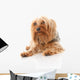 Dog Wall Decal
