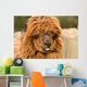 brown alpaca Wall Mural