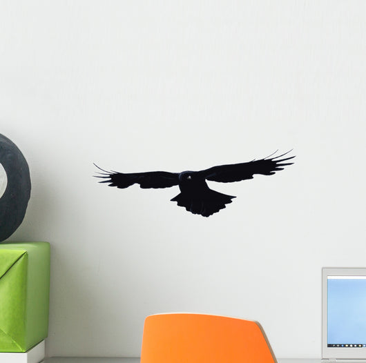 Bird flying Wall Decal