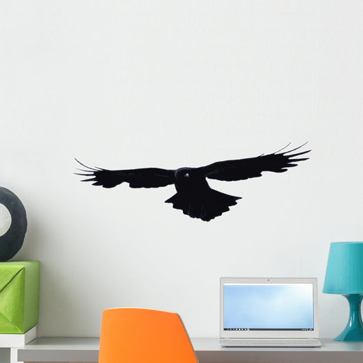Bird flying Wall Decal