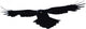Bird flying Wall Decal