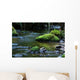 Tranquil River Wall Decal