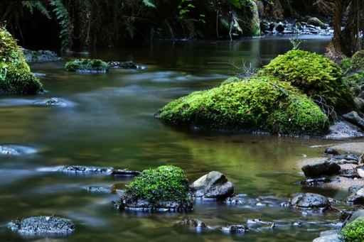 Tranquil River Wall Decal