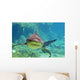 Approaching Shark Wall Mural