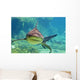Approaching Shark Wall Mural